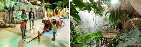 Action Factory & Jungle Dome 