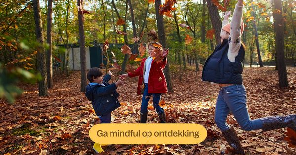 Herfsttips: 7x de natuur bewust beleven