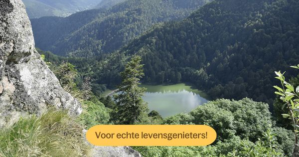 Vogezen: de top 15 bezienswaardigheden op een rij
