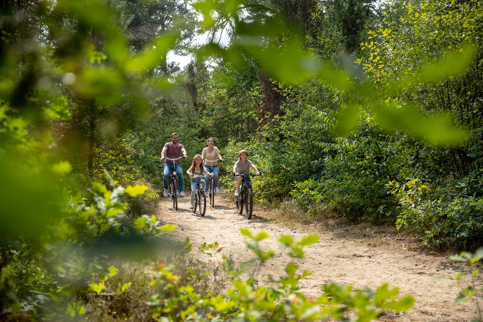 fietsen luneburger heide