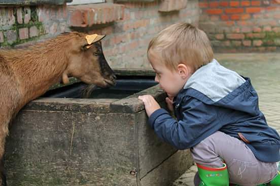 Kinderboerderij