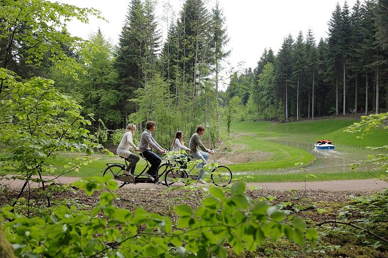 fietsvakantie vogezen