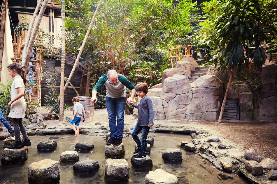 Discovery Bay speeltuin De Vossemeren