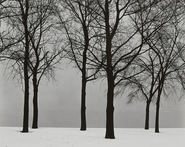 A suite of ten Harry Callahan photographs reappears.