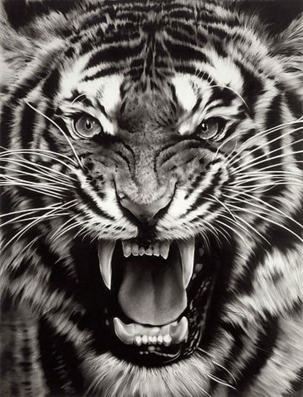 十二生肖之中，老虎最爲兇猛，也是大膽冒險的象徵。虎年將至，富藝斯精選八位肖虎的藝術家，而猛虎的特質也在他們的作品中盡情流露。