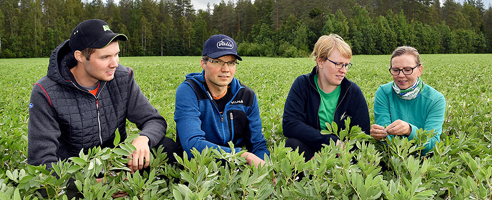 Taneli ja Tuomo Pääkkönen, Sari Perälä ja Anne Anttila