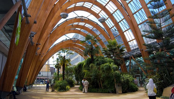 Inside of Sheffield City Centre's Winter Gardens giant greenhouse with view of tropical plants